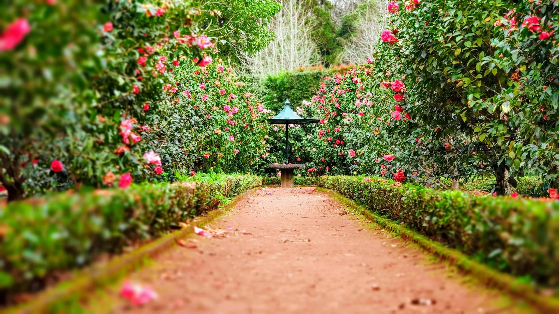 Gepflegter Garten